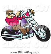 Clip Art of a Young, Brunette White Biker Dude in Shades, Riding His Purple Chopper by Snowy
