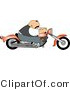 Clip Art of a Bald Male Biker Driving a Motorcycle to the Right by Djart