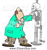 Clip Art of a White Male Chiropractor Practicing Procedures on a Skeleton by Djart