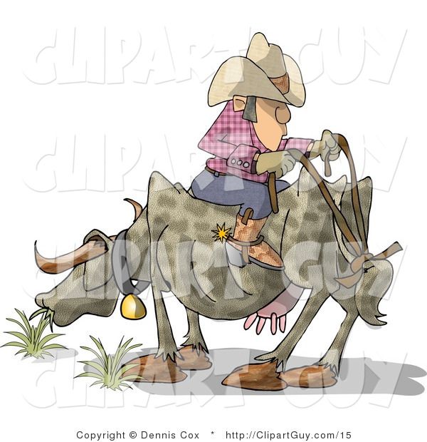 Clip Art of a Funny Cowboy Riding a Cow Backwards