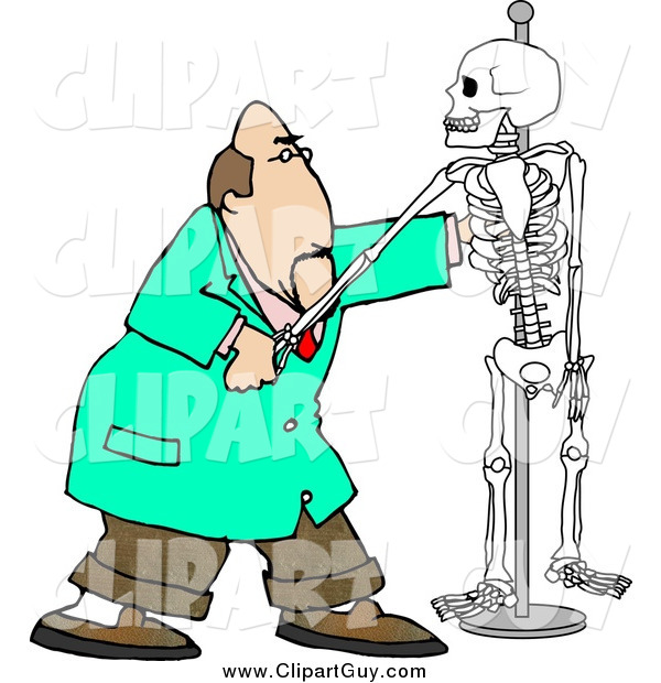 Clip Art of a White Male Chiropractor Practicing Procedures on a Skeleton
